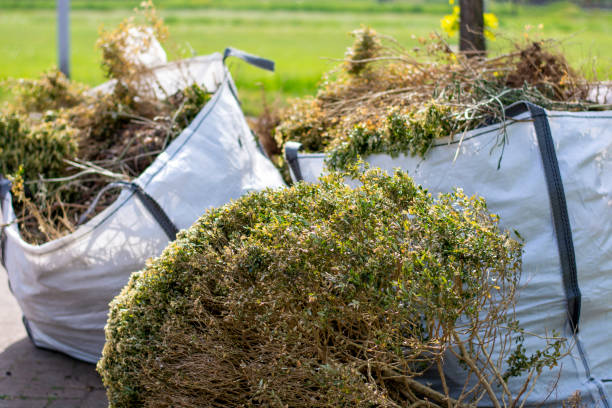 Recycling Services for Junk in Ravenswood, WV